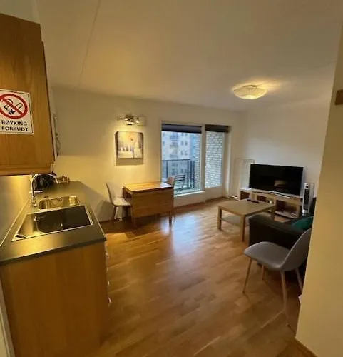 公寓 斯塔瓦吉尔小型公寓 - 市中心